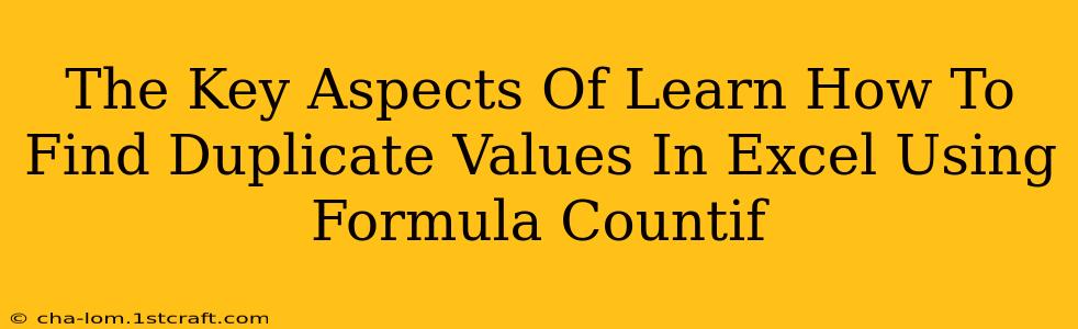 The Key Aspects Of Learn How To Find Duplicate Values In Excel Using Formula Countif