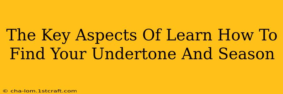 The Key Aspects Of Learn How To Find Your Undertone And Season