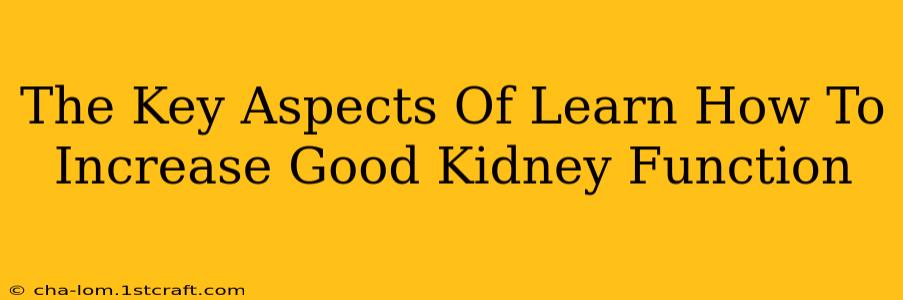 The Key Aspects Of Learn How To Increase Good Kidney Function