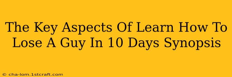 The Key Aspects Of Learn How To Lose A Guy In 10 Days Synopsis