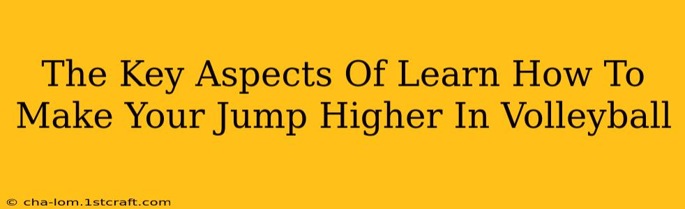 The Key Aspects Of Learn How To Make Your Jump Higher In Volleyball