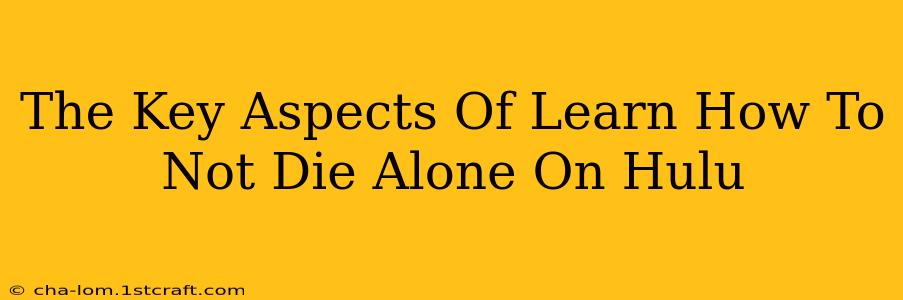 The Key Aspects Of Learn How To Not Die Alone On Hulu