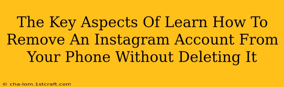 The Key Aspects Of Learn How To Remove An Instagram Account From Your Phone Without Deleting It