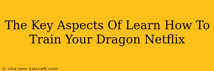 The Key Aspects Of Learn How To Train Your Dragon Netflix