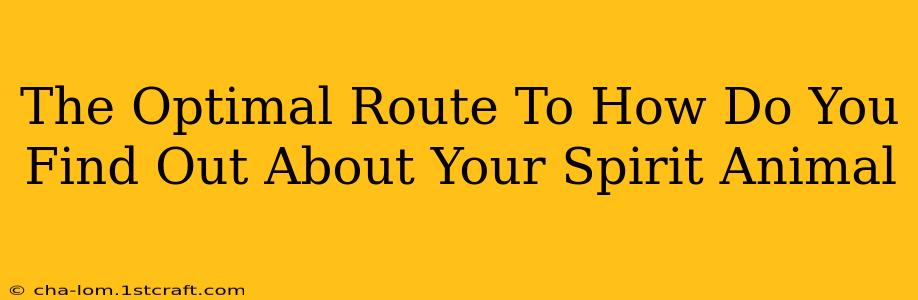 The Optimal Route To How Do You Find Out About Your Spirit Animal