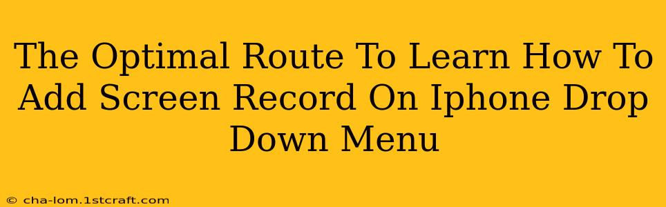 The Optimal Route To Learn How To Add Screen Record On Iphone Drop Down Menu