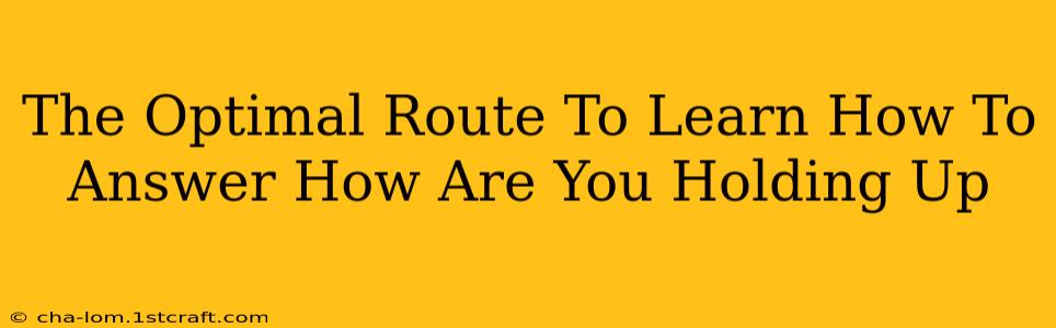 The Optimal Route To Learn How To Answer How Are You Holding Up