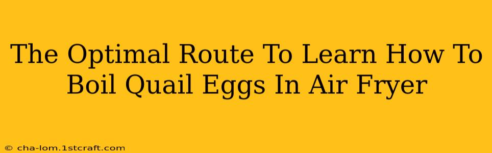 The Optimal Route To Learn How To Boil Quail Eggs In Air Fryer