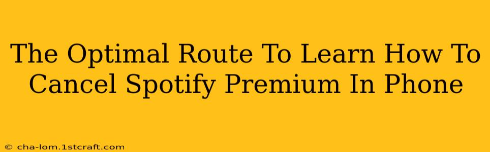 The Optimal Route To Learn How To Cancel Spotify Premium In Phone