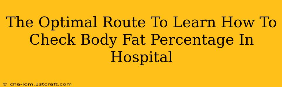 The Optimal Route To Learn How To Check Body Fat Percentage In Hospital