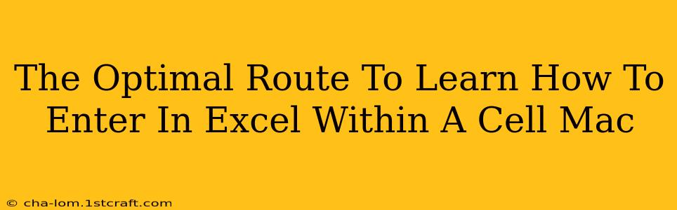 The Optimal Route To Learn How To Enter In Excel Within A Cell Mac