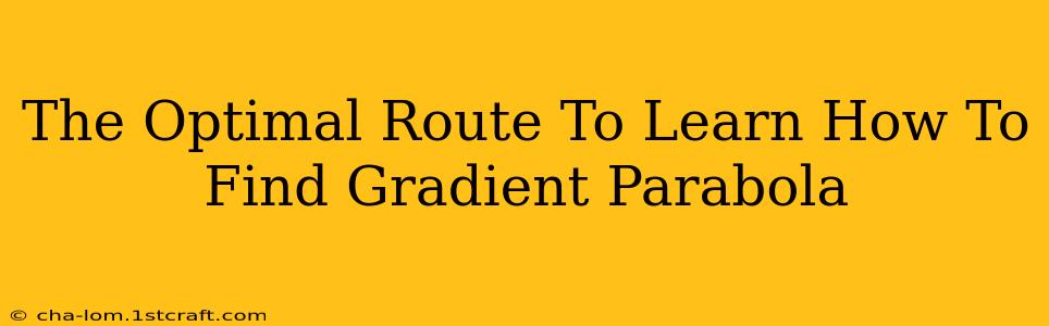 The Optimal Route To Learn How To Find Gradient Parabola