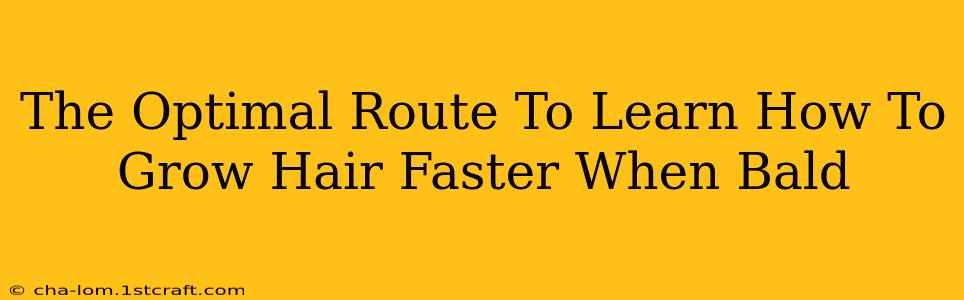 The Optimal Route To Learn How To Grow Hair Faster When Bald