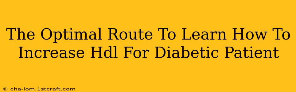 The Optimal Route To Learn How To Increase Hdl For Diabetic Patient