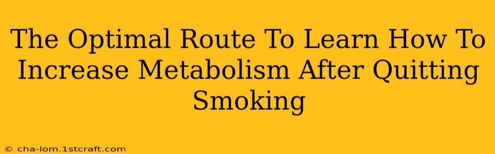 The Optimal Route To Learn How To Increase Metabolism After Quitting Smoking