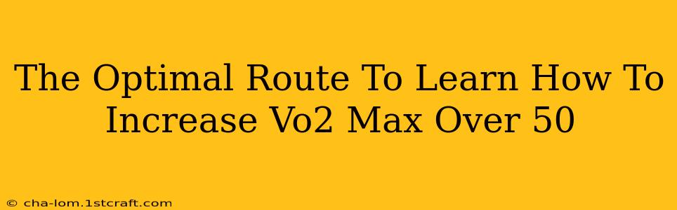 The Optimal Route To Learn How To Increase Vo2 Max Over 50