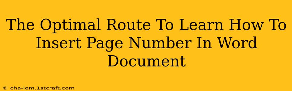 The Optimal Route To Learn How To Insert Page Number In Word Document