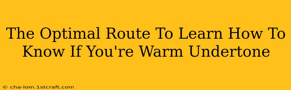 The Optimal Route To Learn How To Know If You're Warm Undertone