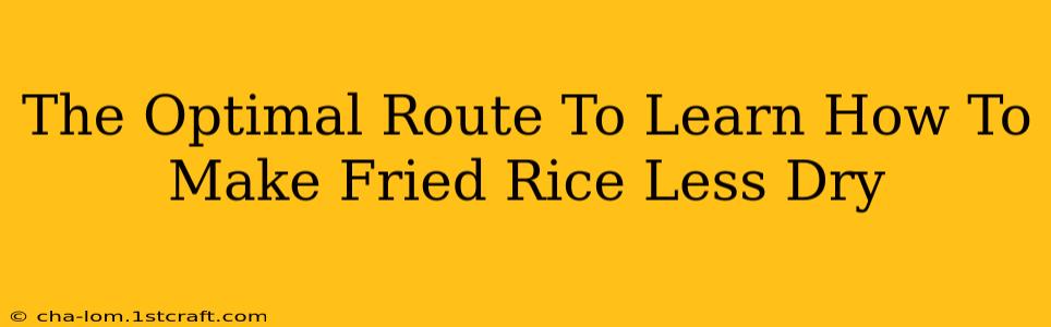 The Optimal Route To Learn How To Make Fried Rice Less Dry