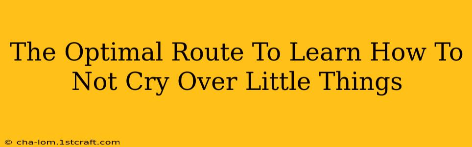 The Optimal Route To Learn How To Not Cry Over Little Things