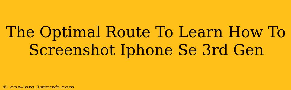 The Optimal Route To Learn How To Screenshot Iphone Se 3rd Gen