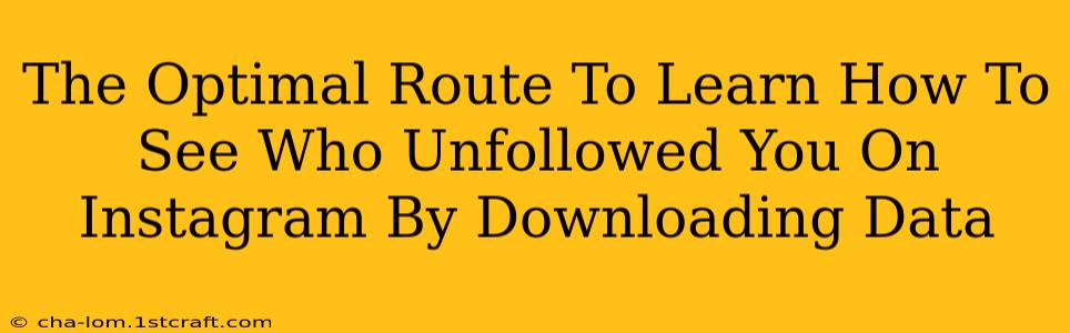 The Optimal Route To Learn How To See Who Unfollowed You On Instagram By Downloading Data