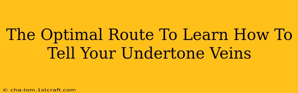 The Optimal Route To Learn How To Tell Your Undertone Veins