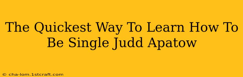 The Quickest Way To Learn How To Be Single Judd Apatow