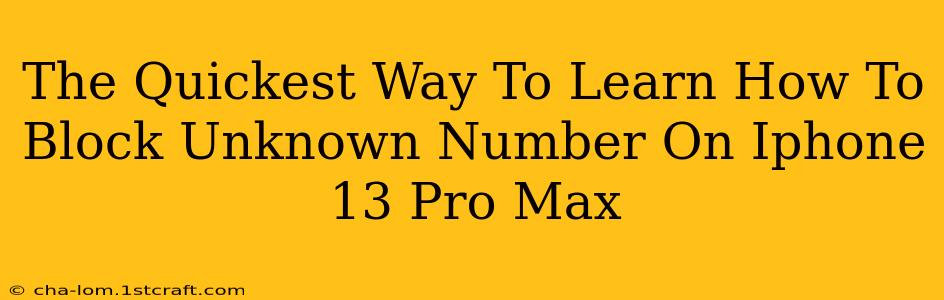 The Quickest Way To Learn How To Block Unknown Number On Iphone 13 Pro Max