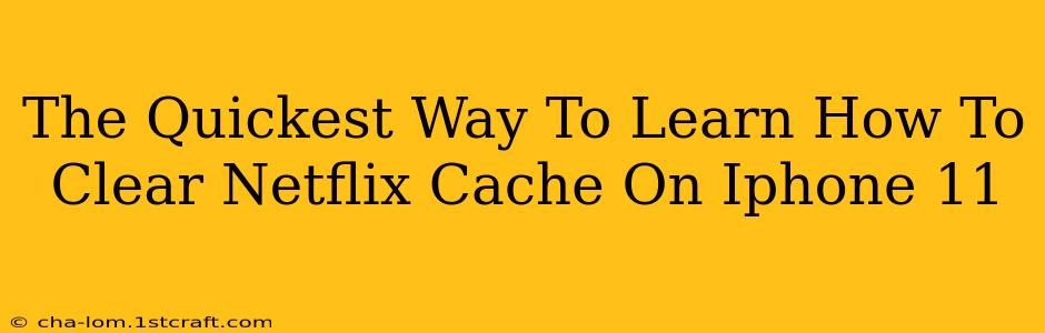 The Quickest Way To Learn How To Clear Netflix Cache On Iphone 11