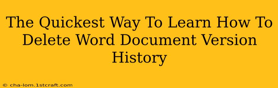 The Quickest Way To Learn How To Delete Word Document Version History