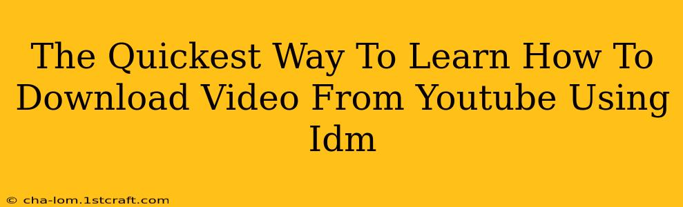 The Quickest Way To Learn How To Download Video From Youtube Using Idm