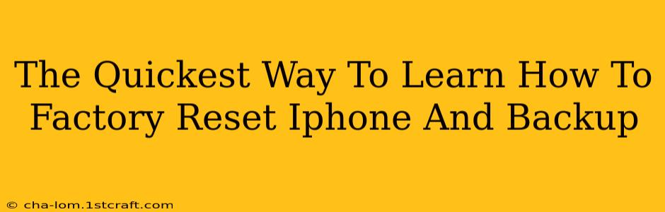 The Quickest Way To Learn How To Factory Reset Iphone And Backup