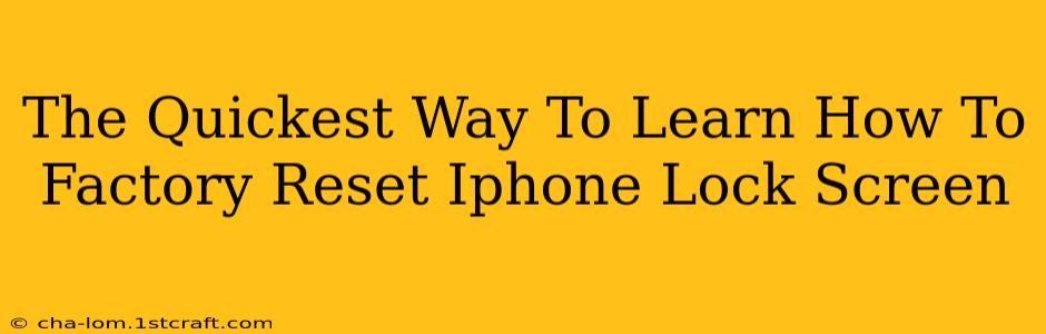 The Quickest Way To Learn How To Factory Reset Iphone Lock Screen