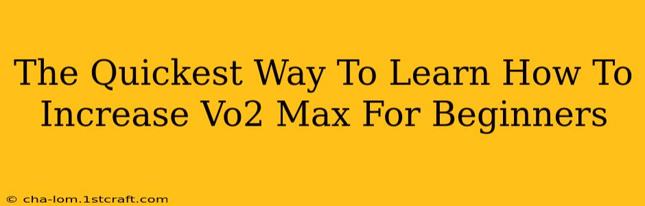 The Quickest Way To Learn How To Increase Vo2 Max For Beginners