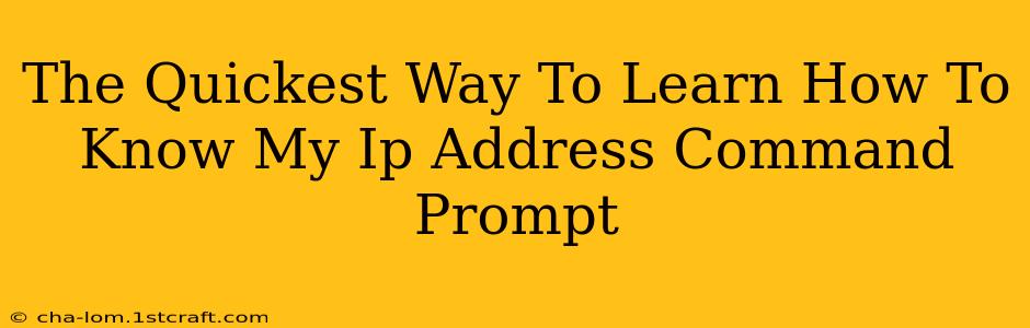 The Quickest Way To Learn How To Know My Ip Address Command Prompt