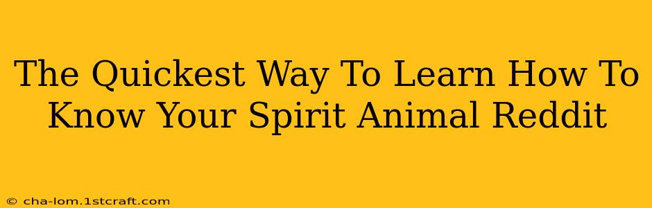 The Quickest Way To Learn How To Know Your Spirit Animal Reddit