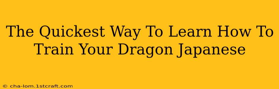 The Quickest Way To Learn How To Train Your Dragon Japanese