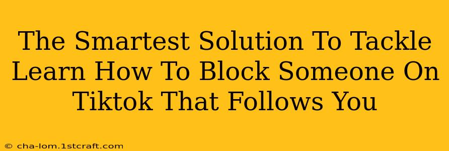 The Smartest Solution To Tackle Learn How To Block Someone On Tiktok That Follows You