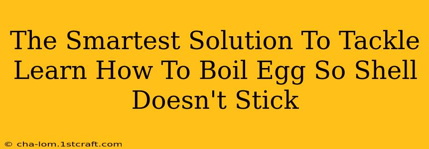 The Smartest Solution To Tackle Learn How To Boil Egg So Shell Doesn't Stick