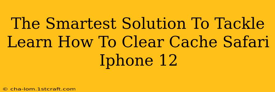 The Smartest Solution To Tackle Learn How To Clear Cache Safari Iphone 12