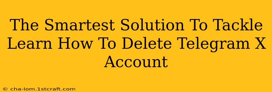 The Smartest Solution To Tackle Learn How To Delete Telegram X Account