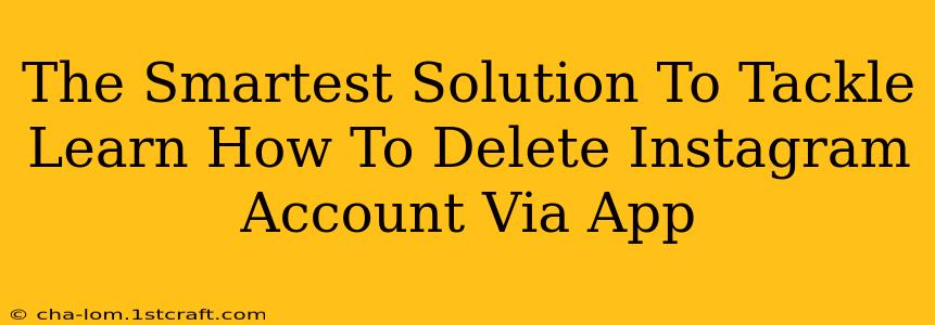 The Smartest Solution To Tackle Learn How To Delete Instagram Account Via App