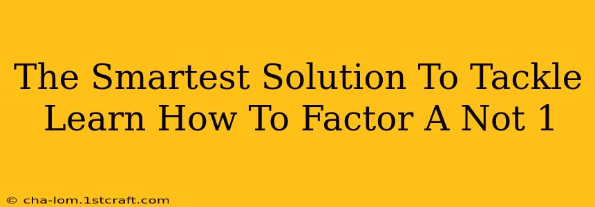 The Smartest Solution To Tackle Learn How To Factor A Not 1