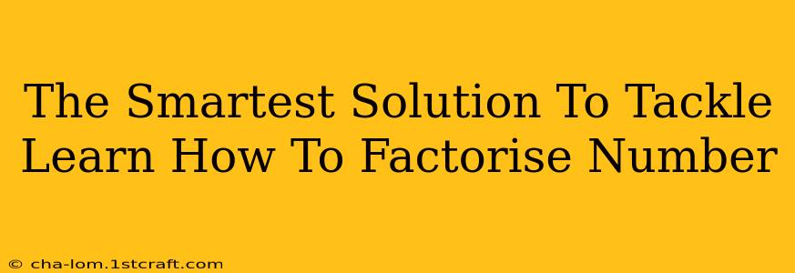 The Smartest Solution To Tackle Learn How To Factorise Number