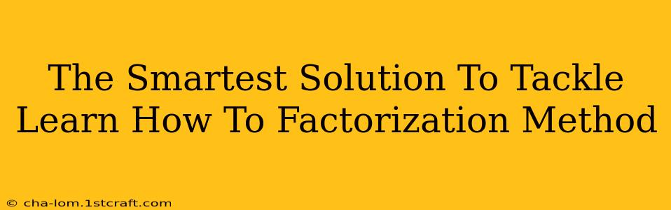 The Smartest Solution To Tackle Learn How To Factorization Method