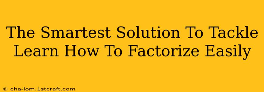 The Smartest Solution To Tackle Learn How To Factorize Easily