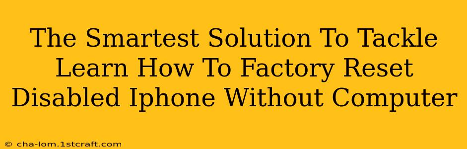 The Smartest Solution To Tackle Learn How To Factory Reset Disabled Iphone Without Computer