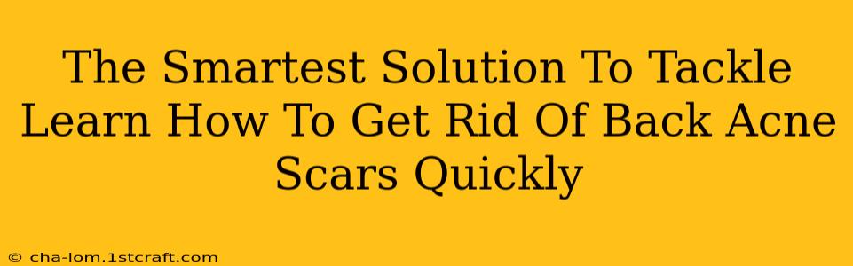 The Smartest Solution To Tackle Learn How To Get Rid Of Back Acne Scars Quickly