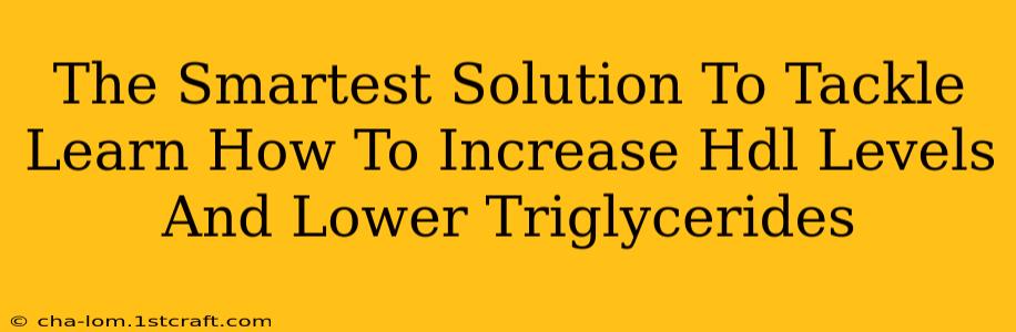 The Smartest Solution To Tackle Learn How To Increase Hdl Levels And Lower Triglycerides